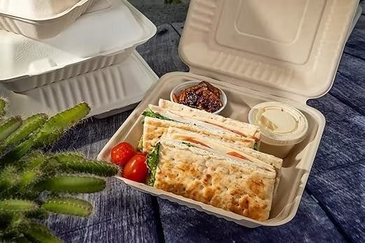 Bagasse takeaway container with sandwiches